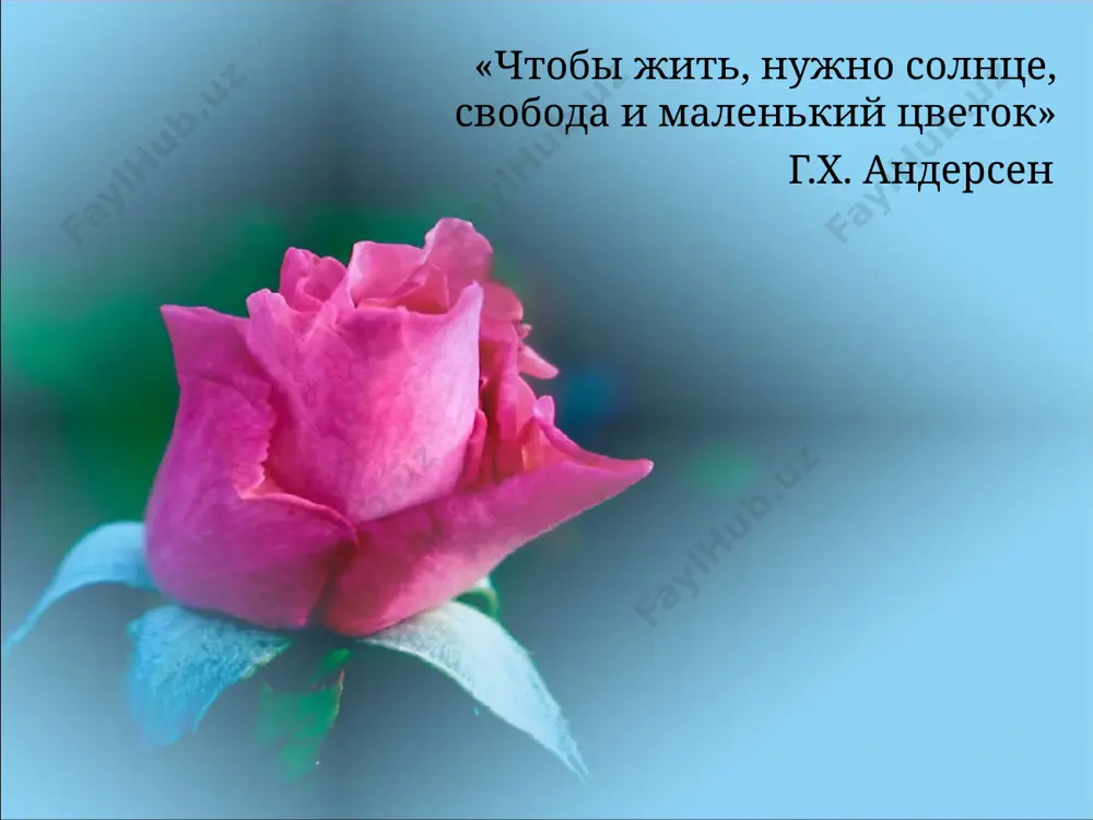 малая цитата г.х. андерсена - Page 3