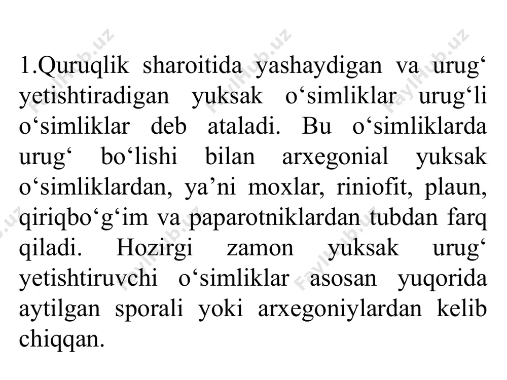 lki megosporafillarda ochiq holda joylashadi. . urug‘kurtak megosporangiydan nutsellusdan tashkil topgan bo‘lib, tashqi tomonidan intgument bilan o‘rab olingan. megosporofilning otalanishidan urug‘ rivojlanadi. ochiq urug‘lilarning muhim xususiyatlaridan biri, spermatozoidning spermiyaga aylanishidir. spermiyani hosil bo‘lishi bu o‘simliklarni suvsiz muhitda ham otalanishiga imkon yaratib beradi. ochiq urug‘lilar mdh ning shimoliy qismida, uralda, markaziy osiyoda va кavkazda keng tarqalgandir. ochiq urug‘lilarnig kelib chiqishi, klassifikatsiyasi olimlar orasida jonli munozaraga sabab bo‘lmoqda. barcha arxegonial o‘simliklar uchun xos xususiyat (moxsimonlardan to ochiq urug‘lilargacha) tuxum hujayraning arxegoniyda hosil bo‘lishidir. ochiq urug‘lilarning taraqqiy etgan shakillarning hosil bo‘lishi yopiq urug‘lilarning hosil bo‘lish davriga - devon davriga to‘g‘ri keladi. ochiq urug‘lilar quyidagi 3 ta sinfga bo‘linadi. 1-sinf sagovniklar. 2-sinf qubbalilar 3-sinf qobiqli urug‘lilar. qubbalilar sinfi kordaitlar, ginkolar va ninabarglilar - qarag‘aylar tartibiga bo‘linadi. qarag‘aylar tartibi. bu tartib vakillari toshko‘mir davrining oxiri karbon davrining boshida keng tarqalgan. yura davrida barq urib rivojlangan. «живое ископаемое» дерево гинкго двулопастное (ginkgo biloba l.) qarag‘aylarning 560 …