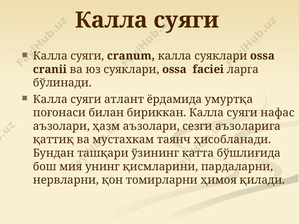 cus sinus sigmoidei бор. энса суягининг ён қисмлари олдинги томонда асос қисми pars basillaris га давом этади. бу қисм 20 ёшларда понасимон суяк билан синостозлашади. асос қисмнинг ташқи юзасида ҳалқум дўмбоқчаси, tuberculum pharyngeum ички юзасида мия пояси ётадиган тарнови, clivus бор. энса суяги os occipitale тепа суяклари тепа суяклари, ossa parietale жуфт суяклар, калла гумбазини шакллантиришда иштирок этади. уларнинг ҳар бири тўртбурчак шаклида бўлиб, тўртта қирраси, тўртта бурчаги бор. яъни пешона қирраси margo frontalis,энса қирраси margo occipitalis, сагиттал қирраси margo sagittalis,чакка суяги палласига ёпишувчи қирраси margo sguamosusлар ва пешона бурчаги angulus frontalis,энса бурчаги angulus occipitalis, сўрғичсимон ўсиқча қараган бурчаги angulus mastoideus,понасимон суяк катта қаноти билан туташувчи бурчаги angulus sphenoidalis фарқланади. суякнинг ташқи юзаси силлиқ тепа суяги дўнглиги tuber parietale кўринса, ички юзасида мия излари, қон томир излари мавжуд. тепа суяги os parietale пешона суяги пешона суяги, os frontale калла суягининг асоси ва гумбазини ҳосил қилишда иштирок этади. унинг палла қисми …