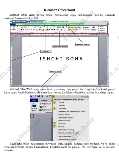 microsoft office word — PDF