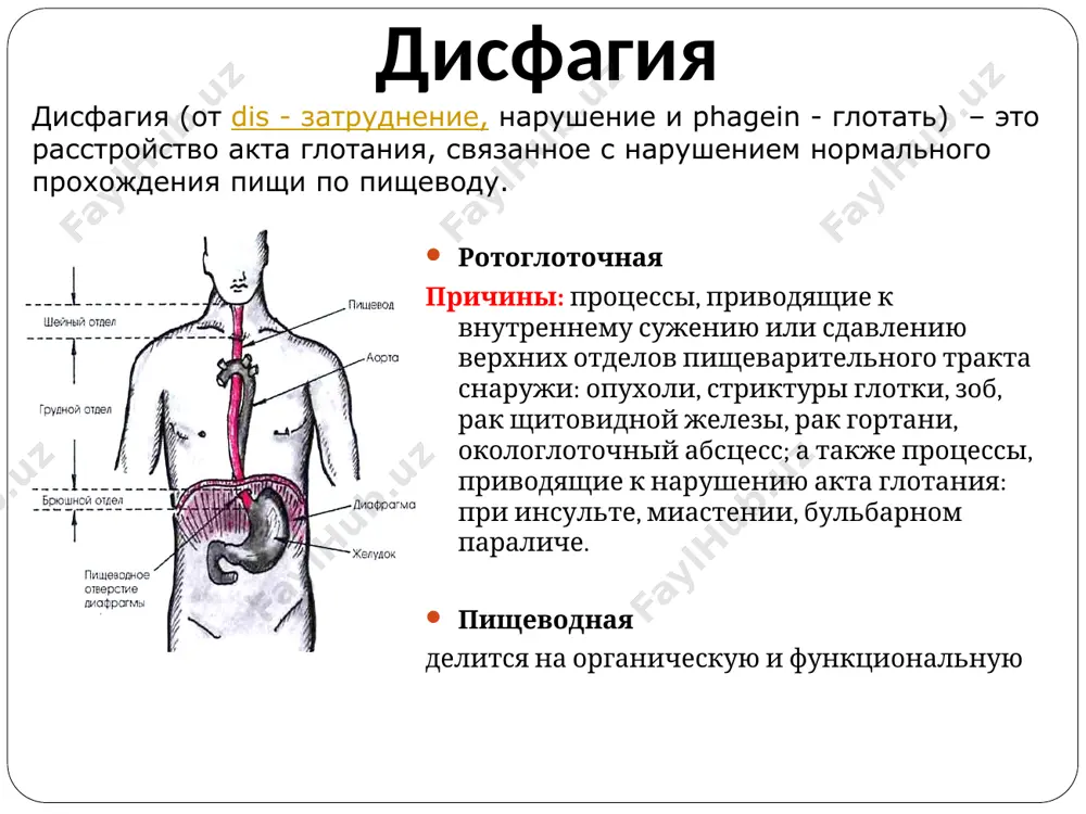 ризнаки: локализация – за грудиной, по характеру – острая, приступообразная (внезапно начинающаяся и нередко также внезапно заканчивающаяся), интенсивная боль, часто с иррадиацией, уменьшается или купируется после приема спазмолитиков или применения тепла. причинами являются заболевания, сопровождающиеся нарушением нервной регуляции тонуса гладкой мускулатуры пищевода: неврозы, истерия, ботулизм. боль при заболеваниях пищевода дистензионная боль – это боль, возникающая при растяжении стенок пищевода. признаки: локализация – за грудиной, по характеру – тупая, распирающая, малоинтенсивная, без иррадиации; не стихающая после приема спазмолитиков. часто сопровождается пищеводной рвотой. причинами являются заболевания, приводящие к органическому сужению пищевода. боль при заболеваниях пищевода перитонеальные боли – это боли, возникающие в результате вовлечения в процесс париетальной брюшины. пищевод покрыт брюшиной лишь в дистальном отделе. признаки: возникает постепенно (при раке) или остро (при прободении язвы), постоянная, непрерывно усиливающаяся вплоть до нестерпимых болей. причины: перитонеальная боль возникает при раке пищевода с прорастанием наружной оболочки или при перфорации язвы пищевода с локализацией в нижней …