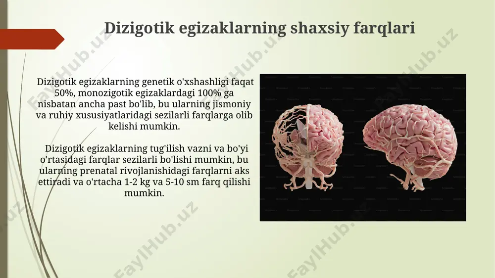 dizembriogenez haqida tushuncha - Page 5