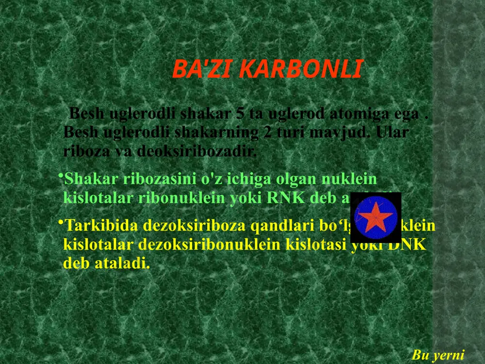 nuklein kislotalar - Page 5