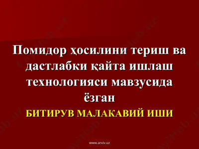 помидор ҳосилини териш ва дастлабки қайта ишлаш технологияси — PPT