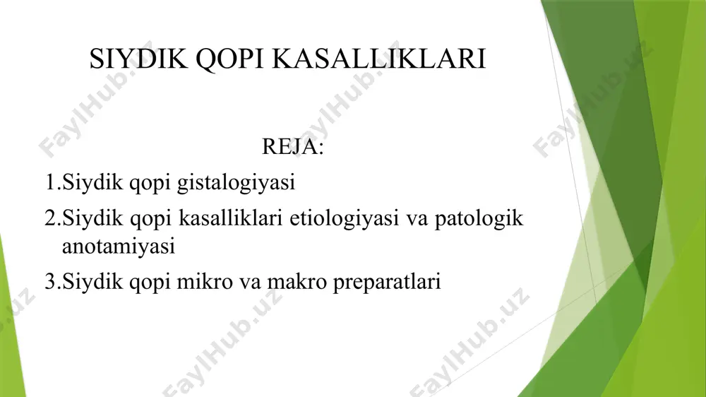 qdorda retceptor nerv oxirlari ham uchraydi qovuq kasalliklarining etiologiyasi sistit (qovuq yallig‘lanishi) etiologiyasi bakterial infektsiya:eng ko‘p uchraydigan sabab: escherichia coli (e. coli). shuningdek: klebsiella, proteus, enterococcus bakteriyalari. virus infektsiyasi: adenoviruslar (ko‘pincha bolalarda). kimyoviy ta’sirlar: kateterlar, siydik pufagiga yuborilgan kimyoviy moddalar (masalan, kimyoterapiya preparatlari). radiatsiya:radioterapiya so‘nggi ta’siri sifatida rivojlanishi mumkin. travmatik omillar:uzoq muddatli kateterizatsiya. jinsiy aloqadan so‘ng paydo bo‘ladigan sistit (honeymoon cystitis). sistit patologik anatomiyasi akut sistit (o‘tkir): qovuq devori shishgan. giperemiyalangan (qon bilan to‘yingan, qizarib ketgan). epiteliy yuzasida yuzaki eroziya va mayda qon ketishlar bo‘lishi mumkin. ba'zida fibrin qatlami paydo bo‘ladi. surunkali sistit (kronik): qovuq devori qalinlashadi. epiteliy o‘sishi (metaplaziya) kuzatiladi. fibroz — biriktiruvchi to‘qima ko‘payishi rivojlanadi. ko‘pincha leya hujayralari infiltratsiyasi (limfotsit va plazmatik hujayralar). sistit (akut va surunkali) makropreparat (ko‘z bilan): akut sistit: qovuq devori shishgan va qizarib ketgan (giperemiya). devor silliq emas, ba'zan fibrin bilan qoplangan. mayda qon ketishlar va yengil eroziya mavjud. surunkali sistit: qovuq devori qalinlashgan …
