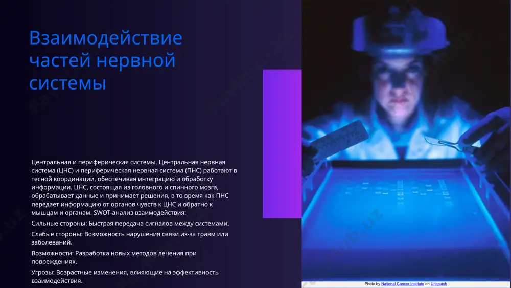 и реакций на стимулы. влияние заболеваний заболевания и расстройства нервной системы могут значительно влиять на качество жизни, подчеркивая важность исследований и своевременной диагностики. спасибо! 14.png 16.png 4.png 10.png 20.jpeg 21.jpeg 3.png 22.jpeg 23.jpeg 24.jpeg 1.jpg 2.png