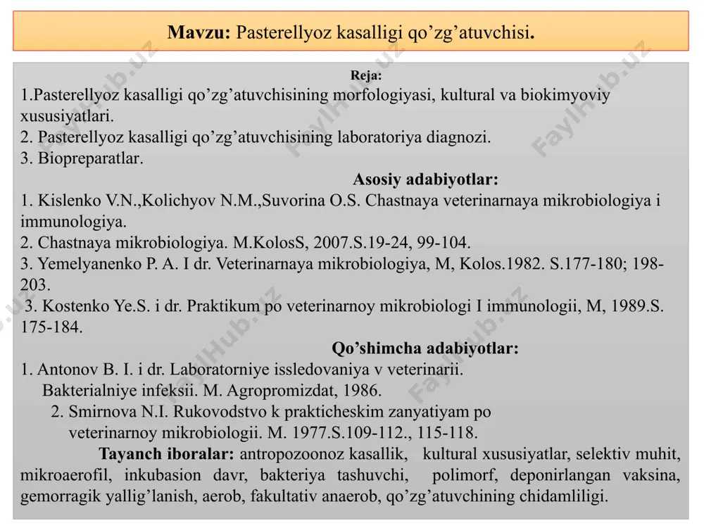 bo’yalgan organlardan va qondan tayyorlangan tamg’ali surtmalarda qo’zg’atuvchi 0,3x1,5 mkm o’lchamdagi mayda, kalta, grammanfiy, uchlari qayrilgan tayoqchalar shaklida bo’ladi. leffler, romanovskiy – gimza usullarida bo’yaganda ularning bipolyarligi (bakteriya hujayrasining uchlari intensiv bo’yaladi) yaxshi namoyon bo’ladi. kulturadan tayyorlangan surtmalarda pasterellalar koksimon yoki qisqa tayoqchalar shaklida bo’lib, bittadan, ikkitadan, ba’zan qisqa zanjirlar shaklida joylashadi. kapsula hosil qiladi, harakatsiz. 14-rasm. pasterillyoz kasalligini yirik shohli hayvonlarda klinik ko`rinishi va ozuq muhitlardagi kulturasi 15-rasm.yirik shohli hayvonlarda kasallikni klinik ko`rinishi. 16-rasm.parrandalarda kasallikning klinik ko`rinishi. паррандаларда чўчқаларда одамларда 17-rasm.pasteurella multocida bacteria photograph by steve gschmeissner/science photo li fineartamerica.com 18-rasm.gram stain of pasteurella multocida shown as gram-negative, nonmotile. downloa researchgate.net pasterellozni laboratoriya diagnostikasi pasterellozni laboratoriya diagnostikasi kultural va biokimyoviy xususiyatlari. pasterellalar aerob va fakultativ anaerob, optimal harorat 37-38 0c, ph 7,2 -7,4 da 24-28 soatda yaxshi rivojlanadi. gpa, gpblarda, ayniqsa qonli gpa, zardobli gpa yoki gpb larda yaxshi o’sadi. agarda mayda, tiniq, bo’rtiq, yumaloq koloniyalar paydo qiladi.koloniya lar …