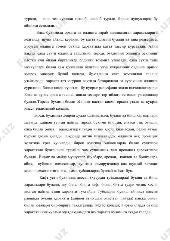 букиш ҳаракатида катта таъсир курсатади. айни вақтда елка суяги олдинга ташланиб, тирсак буҳимини олдинги оёқининг пастки учи билан биргаликда олдинги томонга утказади, елка суяги тана мускуллари билан ҳам қопланган булгани учун кукракнинг олдинги ярими купроқ қавариқ булиб қолади, бу-олдинга елка томонидан танани узайтиради. ҳаракат тез югуриш вақтида бажарилади ва куракнинг олдинга сурилиши билан янада кучаяди- бу кукрак рельефини янада катталаштиради. елка ва курак орқага ташланганида тескари тартибдаги тегишли узгаришлар булади.тирсак буҳими билан оёқнинг пастки қисми орқага утади ва кукрак юзаси текисланиб колади. тирсак буҳимига деярли ҳудди одамдагидек букиш ва ёзиш ҳаракатлари мавжуд. ҳайвон турган пайтда тирсак буҳими ёзилган, елкаси тик булади, елка билан билак одамдагидек туҳри чизиқ ҳосил қилмасдан, балки утмас бурчак ҳосил қилади. юқорида айтиб утилганидек, олдинги оёқ пронация ҳолатида ерга қуйилади, бироқ купгина ҳайвонларда билак суяклари ҳаракатчан булганлиги туфайли ҳам супинация, ҳам пронация ҳаракатлари булади. йирик ва майда мушуклар (йулбарс, арслон, қоплон ва бошқалар), айиқ, қуёнлар, олмаҳонлар, купгина …