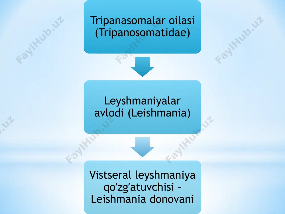 lar; 16. mikrogametalarning xosil boʼlishi; 17. urugʼlanish; 18. zigota; 19. ookineta; 20,21. ootsista; 22. ootsistaning yorilishi va sporozoitlarning chiqishi; 23. soʼlak bezidagi sporozoitlar; 24-27. kechikkan toʼqima bosqichi. plazmodium faltsiparumning xayotiy sikli: sporozoitlarning soʼlak bezidan chiqishi va jigar xujayralariga kirishi; 2-4. jigar xujayralaridagi shizogoniya; 5-10. eritrotsitlardagi shizogoniya; 10-16. gametogoniya, mikro va makro gametotsitlarning shakllanishi; 17. urgʼochi jinsiy xujayra; 18. mikrogametaning xosil boʼlishi; 19. urugʼlanish; 20. zigota; 21. ookineta; 22-24. ootsistaning rivojlanishi; 25. yetilgan sistaning yorilishi va sporozoitlarning chiqishi; 26. soʼlak bezlaridagi sporozoitlar. odam chivin jigar qon to’qimadagi shizogeniya qon surtmasida plazmodium vivakksning rivojlanish sikli bosqichi: 1-2. xalqa(yosh trofozoitlar); 3-12. yetilgan troqozoitlar; 13-15. yosh shizontlar; 16. yetilgan shizont (morula); 17. bitta eritrotsitdagi ikkita yosh trofozoit; 18. bitta eritrotsitdagi ikkita yetilgan trofozoit; 19-20. bitta eritrotsitdagi ikkita merulyatsiya; 21-22. mikrogametotsitlar; 23-24. makrogametotsitlar. qon surtmasida plazmodium malyariy(1-15) va plazmodium falьtsiparumning rivojlanish sikli bosqichlari(16-30): 1-2. xalqa(yosh trofozoitlar); 3-9. yetilgan trofozoitlar; 10-12. yosh shizontlar; 13. yetilgan shizont …