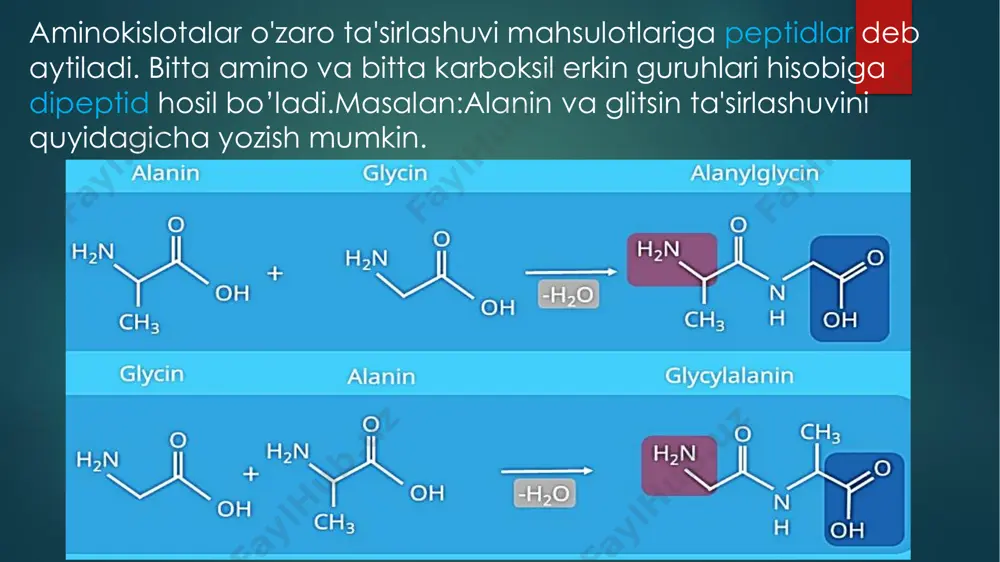 n to'xtaydi. regulyator(boshqaruvchi) oqsillar. boshqaruvchi oqsillarga garmonlarni misol sifatida keltirishimiz mumkin. organizmda boradigan ko'pgina biokimyoviy reaksiyalar garmonlar tomonidan boshqariladi. retseptoroqsillar.garmonlar va neyro mediatorlar hujayra ichida kechadigan jarayonlar retseptorlar hisoblangan oqsillarga ta'sir qilish yo'li bilan ya'ni ular orqali ta'sirqiladi. masalan, qon tarkibida harakat qiladigan garmonlar mishen hujayralarni topadi va oqsil reseptorlari bilan maxsus birikkan holda ularga ta'sir qiladi. qisqaruvchi (sokratitelnie) oqsillar ayrim oqsillar o'z funksiyalarni bajarish davomida hujayraga qisqarish yoki harakatlanish hususiyatini bag'ishlaydi. masalan aktin va miozin fibrilyar oqsil muskul skletlariga qisqarish hususiyatini bag'ishlaydi. 9. fermentlar maxsus oqsilla hisoblanib biokimyoviy reaksiyalar tezligiga ta'sir qiladi. xozirgi kunda 2000 dan ortiq fermentlar ma'lum. kimyoviy tuzulishga ko'ra ya'ni oqsil bo'lmagan qismining borligi va yo'qligi bilan farqlanadigan oqsillar: oddiy va murakkab oqsillarga. oddiy oqsillar aminokislotalardan tashkil gidrolizlanganda faqat aminokislotlarga parchalanadi. murakkab oqsillar deb ularni gidroliz qilganda erkin aminokislotalar bilan bir qatorda qo'shimcha moddalarga (uglevodorod, fosfor kislotasi, nuklein kislotasi, yog' va boshqa moddalarga) parchalanadigan moddalarga aytiladi. …