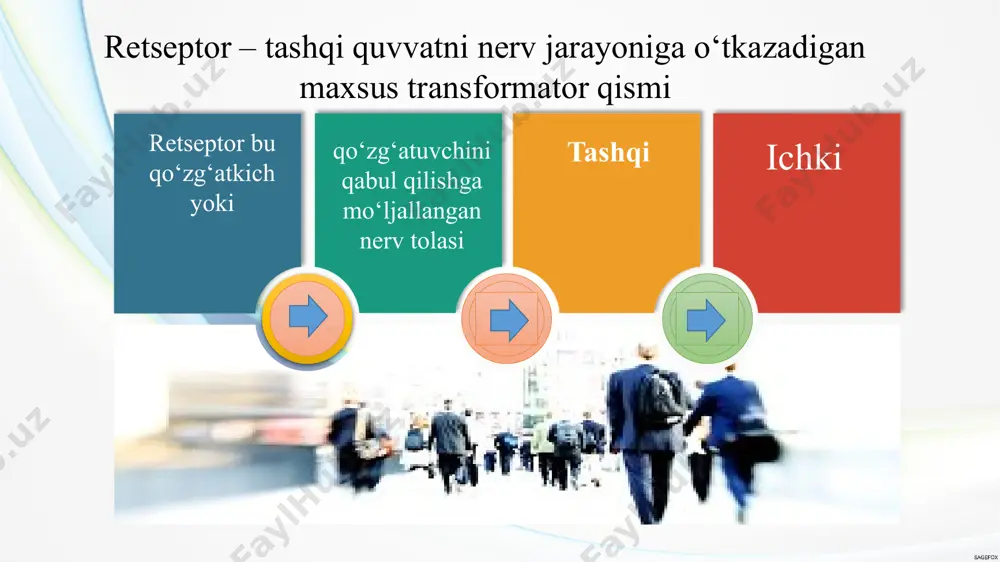sezgi jarayonlari - Page 5