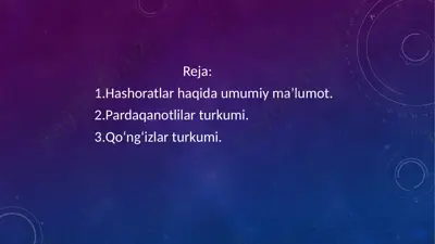 hashoratlar — PPTX