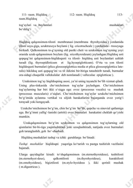 tica media et plica glossoepiglottica late-ralis) hikildoq usti qopqog‘ini va til ildizini bir-biriga tutashtirib turadi, burmalar ora-sidagi chuqurlik vallekulalar deb nomlanadi ( valleculae epiglotticae ). uzuksimon tog‘ay hiqildoqning asosi, ya’ni uning tayanchi bo‘lib xizmat qiladi. uning plas-tinkasida cho‘michsimon tog‘aylar joylashgan. cho‘michsimon tog‘aylarning har biri ikki o‘siqga ega: ovoz (processus vocalis) va mushak (processus muscularis) o‘siqlari. cho‘michsimon tog‘aylar uzukcho‘michsimon bo‘g‘imida aylanma vertikal va siljish harakatlarini bajarganda ovoz yorig‘i torayadi yoki kengayadi. uzukcho‘michsimon bo‘g‘im, chin bo‘g‘im bo‘lib, qopcha va sinovial qatlamiga ega. bo‘g‘imni yallig‘-lanishi (artriti) ovoz burmalari harakatini cheklab qo‘yishi mumkin. uzukqalqonsimon bo‘g‘im uzuksimon va qalqonsimon tog‘aylarning old qismlarini bir-bi-riga yaqinlashtiradi yoki uzoqlashtiradi, natijada ovoz burmalari goh taranglashib, goh bo‘-shashadi. hiqildoq mushaklari tashqi va ichki guruhlarga bo‘linadi: tashqi mushaklar hiqildoqni yuqoriga ko‘tarish va pastga tushirish vazifasini bajaradi. ularga quyidagilar kiradi: to‘shqalqonsimon (m.sternothyroideus), tushtilosti (m.sternohyoi-deus), qalkontilosti (m.thyrohyoideus), kuraktilosti (m.omohyoideus), bigiztilosti (m.stylo-hyoideus ), ikki qorinli mushak ( m.digastricus ). hiqildoqning ichki mushaklari tog‘aylarni harakatga …