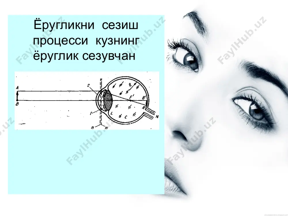 из. бундай кузда чексиз узоклашган буюмнинг тур пардадаги кескин тасвири гавхар мускулларининг тулик бушаштирилган холида хосил булади. колган барча холларда буюмни куриш учун мускулларнинг гавхар эгрилигини оширувчи зурикиш талаб килинади. бунинг натижсида буюмнинг тур пардадаги тасвири кескин куринишга келади. кузнинг турли масофаларда турган буюмларни куришга мосланишини аккомодация деб аталади. агар кузнинг оптикавий системаси нуксонга эга булса, тур пардада аник тасвир хосил булмаслиги мумкин. агар чексиз узоклашган туктанинг кескин тасвири гавхар мускулларининг бушашган тур парданинг олд томонида хосил буладиган булса, у вактда бундай куз якиндан курар деб аталади, агар шу пайтда кескин тасвир тур парданинг орка томонида хосил булса, у вактда куз узокдан курар деб аталади. бундай нуксонларни йукотиш учун кузойнак кулланилади. якиндан курар кузлар учун кузойнакнинг шишалари сочувчи линзалардан, узокдан курар кузлар учун йигувчи линзалардан иборат булади. катор холларда яна шундай жиддий нуксонлар хам буладики, масалн астигматизм , уларни бир нечта мураккаб линзалардан ташкил топган кузойнаклар ёрдмида тугриланади. кузнинг ёругликсезгир …