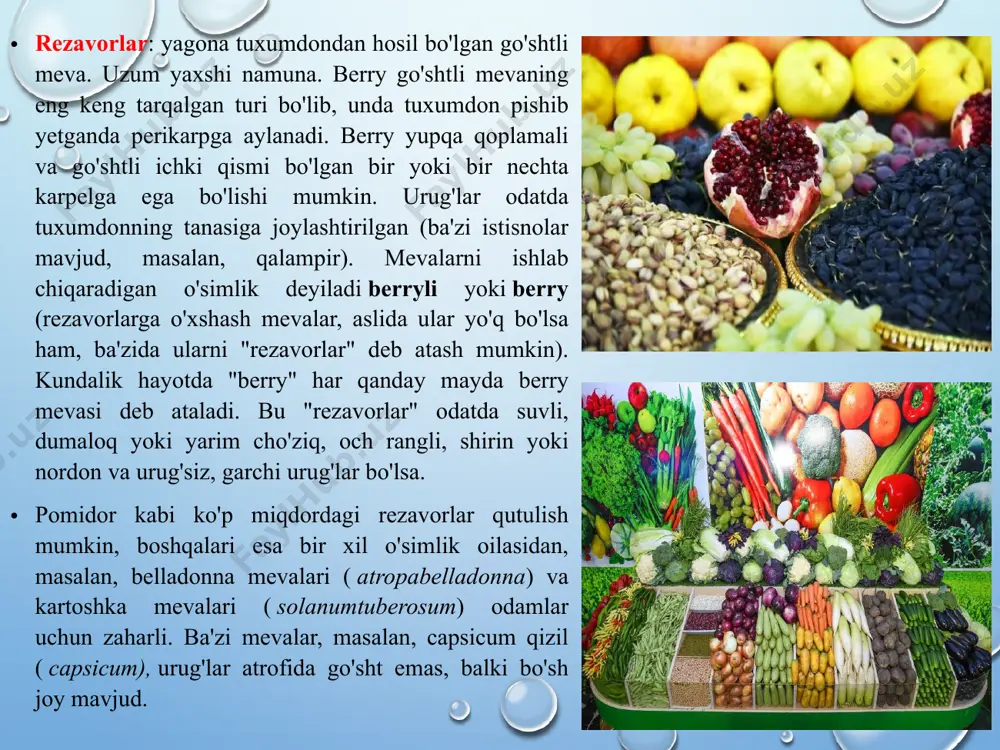 chernika) urug‘lari mag‘zi ichida joylashgan haqiqiy rezavorlar (uzum, qorag‘at, krijovnik, klyukva, brusnika, chernika) rezavorlar q o r a g‘ a t (s m o r o d i n a) qora, qizil va oq bo‘lishi mumkin. tarkibida c vitamini (200 mg% gacha) va pektin moddalar ko‘p bo‘lgan (2-5 % gacha) qora qorag‘at keng tarqalgan bo‘lib, yangi holda iste‘mol qilinadi va pyure, jele, marmelad va qiyomlar tayyorlashda ishlatiladi. qizil va oq qorag‘at tarkibida vitaminlar va pektin moddalar kam, ammo kislotalar ko‘p bo‘lib, yangi holda parhezga ishlatiladi. k r i j o v n i k. mevalari yumaloq, chuzinchoq shaklli, sariq, yashil, qizil rangda bo‘ladi. mevalari katta, sersuv, shirin etli krijovik yangi holida parhezbop sifatida iste‘mol qilinadi. pishib etilmagan mevalar pyure, pripas, murabbo, jem va jele tayyorlashda ishlatiladi. z e m l ya n i k a (e r t u t) hamma joyda uchraydi. mevalar tarkibidagi qandlar (7,2%), organik kislotalar (1-2%) …