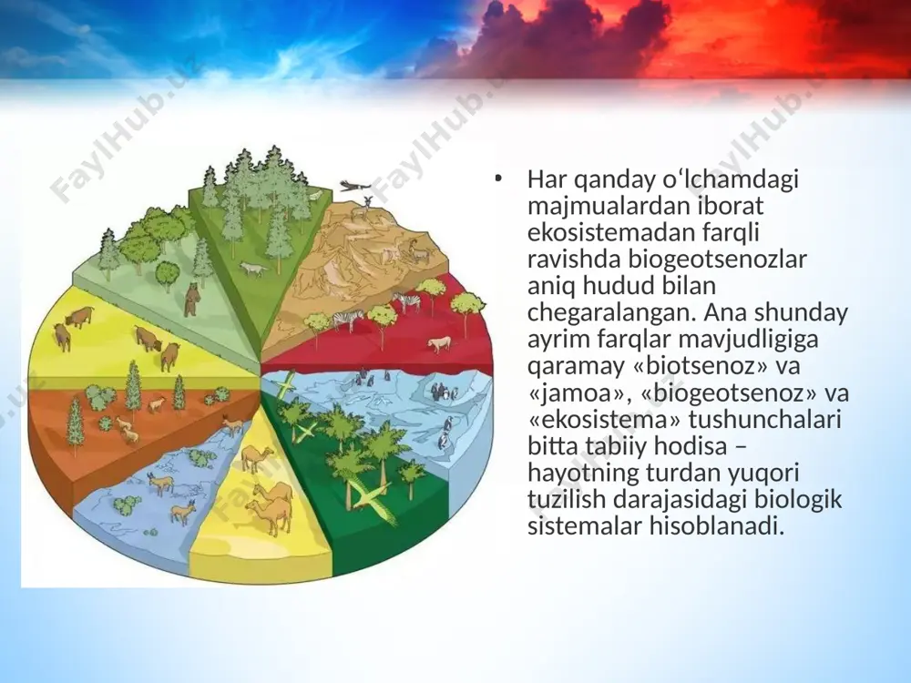 . biotsenoz tarkibidagi barcha tirik organizmlar 3 ta funksional guruhga bo‘linadi: produtsentlar, konsumentlar va redutsentlar produtsentlar (lot. «producens» – yaratuvchi) – organik birikmalarni hosil qiluvchilar, ya’ni avtotrof organizmlar bo‘lib, anorganik moddalardan organik birikmalarni sintezlaydi. bu guruhga yashil o‘simliklar, fotosintezlovchi va xemosintezlovchi bakteriyalar kiradi. konsumentlar (lotincha «consume» – iste’mol qilaman) yoki iste’mol qiluv chilar – geterotrof organizmlar bo‘lib, tayyor organik birikmalar bilan oziqlanadi va oziq tarkibidagi energiyani oziq zanjiri bo‘ylab uzatadi. oziq (trofik) zanjiri – organik birikmalarni hosil qiluvchilardan iste’mol qiluvchilarga bosqichma-bosqich modda va energiyani uzatuvchi organizmlar ketma-ketligidir. redutsentlar (lotincha «reduco» – qaytaraman, tiklayman) yoki destruktorlar (lotincha «destruo» – parchalayman) – geterotrof organizmlar bo‘lib, organik birikmalarni anorganik moddalargacha parchalaydi. ularga saprotrof (saprofit) bakteriyalar va zamburug‘lar kiradi. biogeotsenozlarga xos xususiyatlar. biogeotsenozlar bir qator xususiyatga ega bo‘lib, bu xususiyatlar ularning uzoq muddat davomida barqarorligini ta’minlaydi. bu xususiyatlarga biogeotsenozlarning o‘z-o‘zini yaratishi (tiklashi), barqarorligi, o‘z-o‘zini boshqarishi, rivojlanishi va ekologik suksessiya (ekosistemalarning almashinishi) kabilar kiradi. biogeotsenozlarning …