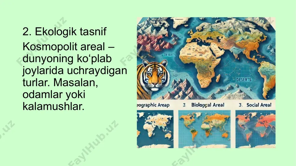 areal, uning tasnifi, xosil bòlishi va tarkibi - Page 5