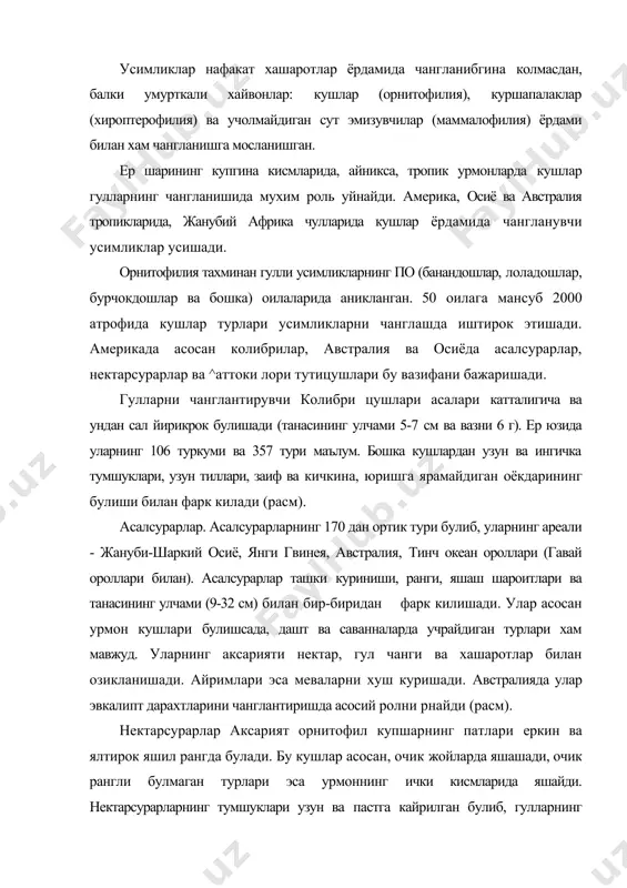 яшил рангда булади. бу кушлар асосан, очик жойларда яшашади, очик рангли булмаган турлари эса урмоннинг ички кисмларида яшайди. нектарсурарларнинг тумшуклари узун ва пастга кайрилган булиб, гулларнинг нектардонигача осонлик билан етиб боради. нектарсурарлар африка, осие ва австралия урмонларида яшашади (расм). гулчи кушлар (coerebidae). бу оилага кирувчи кушларнинг бироз кайрилган ингичка тумшуклари булиб, унинг ёрдамида, гулларнинг тожибаргларини ериб, нектарни суриши еки майда хашаротларни тутиб олиши мумкин. улар сершира мевалар билан хам озикланиши мумкин. танасининг узунлиги 12 см гача етади (расм). усимлик гулларидаги нектарлар билан озивданадиган кушларда хам махсус мосланишлар хосил булган. уларнинг тумшуклари ингичка ва узун, баъзиларида эса гул шаклига мос равишда кайрилган булиб, озука оладиган маълум тур усимликларнинг гулларининг шакли ва катта-кичиклигига караб шаклланган (расм). чангловчи кушлар, асосан, meliphagidae, nectarimdae, drepanididae ва trochilidae оилалари вакиллари хисобланади. орнитофил гуллар ва кушлар орасидаги муносабатларда табакаланиш кузатилмайди. аксарият орнитофил усимликлар гуллари кушларнинг турли вакиллари ердамида чангланади, ушбу кушлар хам турли усимлик гулларидан нектар йигишга …