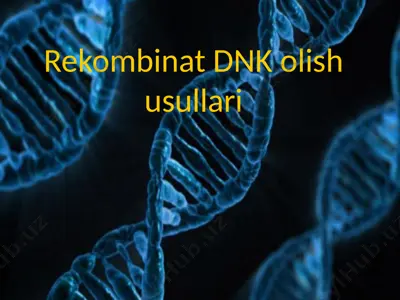 rekombinat dnk olish usullari — PPTX