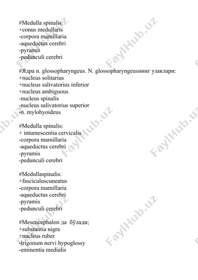 medulla spinalis — DOCX