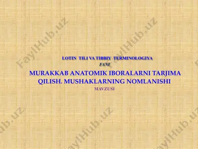 murakkab anatomik iboralar tarjimasi — PDF