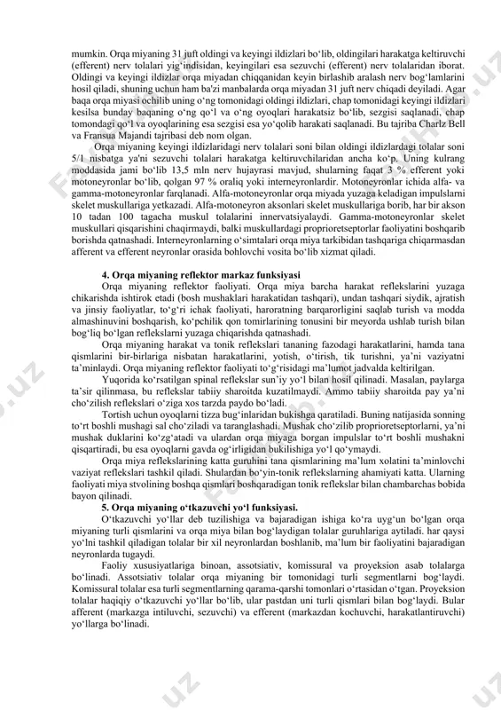 shida ishtirok etadi. bu borada u barcha afferernt impulslarni qabul qiladi va o‘zidan yuqoridagi markazlarga o‘tkazadi, efferent impulslarni yuqoridan va o‘zidan ishchi a'zolarga o‘tkazadi. shu bois u ikki xil funksiya bajaradi, ya'ni reflektor markaz (bevosita harakatlarni boshqaradi) va o‘tkazuvchi yo‘l (bosh miya qismlarini chetki a'zolar bilan bog‘lab turadi) bo‘lib xizmat qiladi. bundan tashqari orqa miyada yana vegetativ nerv tizimi markazlari joylashgan, qaysikim ichki a'zolar faoliyatini boshqaradi va organizm ichki muhitiga turg‘unlikni saqlashda salmoqli hissa qo‘shadi. orqa miya bosh miya qismlaridan farq qilib, segmentar tarkibga ega, odamda uning bo‘yin qismida 8 ta, ko‘krak qismida 12 ta, bel qismida 5 ta, dumg‘aza qismida 5 ta va dum qismida 1-3 tadan segmentlar mavjud. orqa miya ko‘ndalang kesimiga e'tibor berilsa, uning ikki qismdan, ya'ni neyronlardan iborat kulrang (markaziy) qism va nerv tolalaridan iborat oq (kulrang qism atrofini o‘rab olgan) qismlarni ko‘rish mumkin. orqa miyaning 31 juft oldingi va keyingi ildizlari bo‘lib, oldingilari harakatga keltiruvchi …