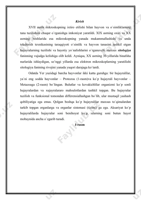hkil topgan. tananing ma`lum bir vazifani bajaruvchi qismi organ deb yuritiladi. har bir organ o`z navbatida bir necha xil to`qimalardan tarkib topgan. aniq bir yo’nalishdagi vazifani bajarishga moslashgan organlar yig`masi organlar sistemasini tashkil etadi: ovqat hazm qilish organlari sistemasi (og`iz bo`shlig`i, tomoq, qizilo`ngach, oshqozon, ichaklar), nafas olish organlari sistemasi, ayirish organlari sistemasi, qon aylanish sistemasi, jinsiy organlar sistemasi, nerv sistemasi va sezuv organlari. bunday organlar sistemalari har xil hayvonlar tipida turlicha rivojlangan. ko`pchilik ko`p hujayrali hayvonlarning tana qismlari bilateral simmetriyali, ya`ni ma`lum bir tartibda joylashgan. faqat kamgina hayvonlarda, jumladan bulutlarda tana ma`lum simmetriyaga ega emas. qolgan ko`p hujayralilar tanasi radial simmetriya (kovakichlilar, dengiz yulduzlari va xokazo)li tuzilgan. radial simmetriyaga ega bo`lgan hayvonlarda tanani bir necha qismlarga teng bo`lish mumkin bo`lsa, bilaterial simmetriyalilarda faqat bir chiziq bilan uni teng ikki qismga ajratish mumkin. 3 -rasm asosiy qism 1. ontogenez va filogenez haqida tushuncha e.gekkel va f.myullerlarning biogenetik qonunining mohiyati. har bir …