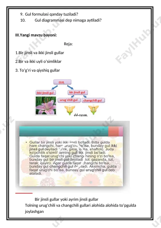 gullarning xilma - xilligi dars ishlanmasi - Page 3