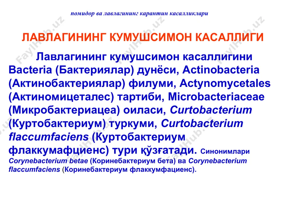 8. international potato center, 1982. major potato diseases, insects, and nematodes. centro internacional de la papa, lima, peru, 98 pp. вянгеляускайте а.п., жуклене р.м., жуклис л.п., пилецкис с.а., ряпшене д.к. вредители и болезни овощных культур. м.: “агропромиздат”, 1989, 464 с. герасимов б.а., осницкая е.а. вредители и болезни овощных культур. м.: «сельхозгиз», 1961, 536 с. sheraliev a., o’lmasboyeva r. qishloq xo’jaligi ekinlari karantini. toshkent: «talqin», 2007, 168 bet. помидор ва лавлагининг карантин касалликлари тавсия қилинган қўшимча адабиётлар data sheets on quarantine pests. synchytrium endobioticum. prepared by cabi and eppo for the eu. 5 pp. potato health management. ed. by r.c. rowe. aps press, st. paul, minnesota, usa, 1993, xi + 178 pp. integrated pest management for potatoes in the western u.s. western regional research publication 011. usa, 1992, 146 pp. ҳасанов б. а., очилов р. о., гулмуродов р. а. сабзавот, картошка ҳамда полиз экинларининг касалликлари ва уларга қарши кураш. тошкент: "voris-nashriyot", …