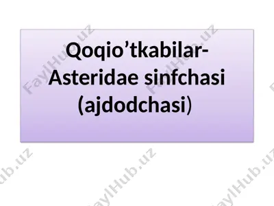 qoqio’tkabilar-asteridae sinfchasi (ajdodchasi) — PPTX