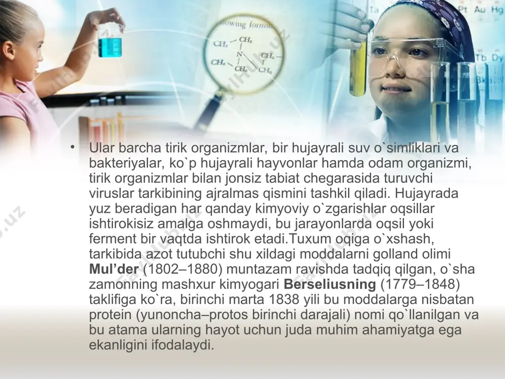 rolizlanganda oddiy oqsillar, asosan gistonlar va protaninlar bilan nuklein kislotalar hosil bo’ladi. nuklein kislotalar o’z navbatida uglevodlar, fosfor kislota va geterotsiklik birikmalarga gidrolizlanadilar. nukleoproteidlar ishqorlarda eriydilar, kislotalarda erimaydilar. ular protoplazmalar, to’qimalar va viruslar tarkibiga kiradilar. fosfoproteidlar. gidrolizlanganda oddiy oqsillar bilan fosfor kislota hosil bo’ladi, kuchli kislotalik xususiyatiga ega. kislotalar ta’sirida iviydi. ularga sut kazeiniga taalluqlidir. glyukoproteidlar. gidrolizlanganda oddiy oqsillar bilan uglevodlar hosil bo’ladi. suvda erimaydi. suyultirilgan ishqor eritmalarida eriydi. neytral xususiyatga ega. qizdirilganda ivimaydi. xromoproteidlar. gidrolizlanganda oddiy oqsillar bilan rangli moddalarni hosil qiladi. ularga qon gemoglobini misol bo’ladi. murakkab oqsillarning boshqa guruhlari ham ma’lum 3. oqsillarning tuzulishi va kimyoviy tarkibi ximiyaviy tuzilishi: oqsillarning ximiyaviy tarkibini o’rganishni xar xil metodlar, jumladan, gidrolis metodi bilan bajariladi . u oqsillarni suv ishtirokida qizdirilganda tarkibiy qismlarga parchalanish protsessidan iborat bo’ladi . gidroliz kislotali, ishqorli va firmentativ bo’lishi mumkin . kislotali va ishqoriy gidroliz kontsentrlangan mineral kislota va ishqorlar ishtirokida 110 c temperaturada 24 – …