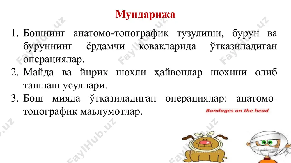 qilish, nafas olish sistemasininig boshlanish qismi xam boshda joylashadi. bosh tana xarakatining muvozanatini saqlashda va atrofni aniqlashda ham muxim rol uynaydi. bosh oblasti qatlamlari teri suyak usti qavati yuqorida joylashgan fastsiya suyak muskul qavati – burun lab ko'taruvchi, yuqori labni ko'taruvchi burun bo'shlig'i bosh oblasti quyidagi qatlamlar iborat teri - har hil hayvonlardan 2-4 mm, y.sh.m. – 4 - 6 mm unda nervlar va qon tomirlar joylashadi. chukur fastsiya - fascia profunda kalla muslkullari bilan birlashgan, muskullar yo'q joyda rivojlanmagan. muskul qavati: a) chaynash muskul – m.masseterica chaynash chukur-ligida joylashgan, qalinligi 3-4 sm. b) yonoq muskuli –m.zygomaticus lenta shaklida, yonoq tarog'ida, labni burchagigacha boradi. v) yuqori labni kutaruvchi muskul – m. levator labbii superioris burundan boshlanib yuqori lab va burunda tugaydi. g) yuqori labni kutaruvchi maxsus m.l.- – m. levator labii superioris – lenta simon, yonoq suyagida boshlanib, labgacha etib boradi. d) pastki labni tushuruvchi m.l. – m. depressor labii …