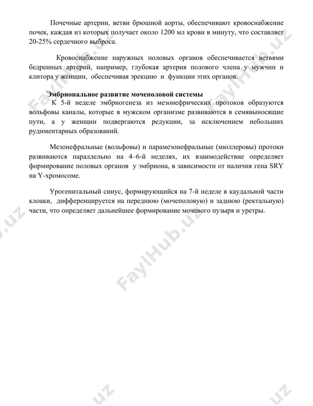 ание половых органов у эмбриона, в зависимости от наличия гена sry на y-хромосоме. урогенитальный синус, формирующийся на 7-й неделе в каудальной части клоаки, дифференцируется на переднюю (мочеполовую) и заднюю (ректальную) части, что определяет дальнейшее формирование мочевого пузыря и уретры. 📌заключение мочеполовая система характеризуется сложным анатомическим строением, включающим почки, мочеточники, мочевой пузырь, уретру, а также половые органы, тесно взаимосвязанные в своей функции и развитии. функциональная целостность системы обеспечивает выведение продуктов метаболизма и репродуктивную функцию. 📚рекомендации 1. душин в.а., привес м.г., лысенков н.к., бушкович в.и. анатомия человека. 2. сапин м.р., билич г.л. анатомия человека. 3. синельников р.д., синельников я.р. атлас анатомии человека. 4. гайворонский и.в., ничипорук г.и. нормальная анатомия человека. 5. кованов в.в. анатомия человека. 6