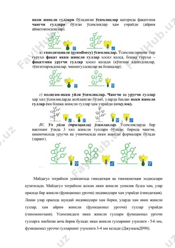 нгларини кабул килолмаслик (автостериллик) ходисаси уларнинг узидан чангланишининг олдини олиб, хашаротлар ёрдамида четдан чангланишларини таъминлаб беради. тримоноэцияли усимликлар. тримоноэция камдан-кам усимликларда - гултожхуроздошлар-amaranthaceae, шурадошлар-chenopodiaceae, ковокдошлар-cucurbitaceae оилаларининг айрим вакилларидагина учрайди. масалан, урта ер денгизи атрофи мамлакатларида усадиган "кутурган бодринг”- (ecballium elaterium, cucurbitaceae) да айрим жинсли гуллар билан бир каторда икки жинсли гуллари мавжуд булган туплари хам учрайди. шунинг учун уларни бир уйли ва тримоноэцияли усимликлар каторига кушишади. бундай холат тарвуз-(citrulles edulis) усимлигида хам учрайди. адабиётлар: 1. ашурметов о а., каршибоев х.к. репродуктивная биология солодки и раздельнолодочника. ташкент. фан. 1995. 212 с. 2. батыгина т.б. эмбриология цветковых растений. санкт-петербург. мир и семья. 2000. т.3. с.258. 3. бейдемен и.н. методика изучения фенологии растений и растительных сообществ. новосибирск. наука.1974.153 с. 4. борисов и.в. сезонная динамика растительного сообществлолевая геоботаника. л.наука. 1972. т.4. с.5-94. 5. пономарев а.н. изучение цветения и опыления растений. полевая геоботаника. м-л. 1960. т.2. с.10-11. 6. турсунов ж. антэкология и эмбриология сапониноносных гвоздичных …