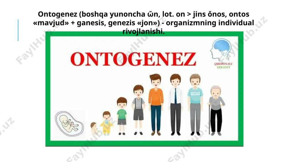 ling - u og'zini ochadi. orqa miya reflekslari mushak apparati holati uchun javob beradigan reaktsiyalar to'plamidir. bu orqa miya tomonidan boshqariladigan vosita reflekslari. ularning ishtirokida tanamiz kosmosda turli xil pozalar va harakatlarni oladi. yuqori himoya refleksi. agar chaqaloq sog'lom bo'lsa, bu refleks tug'ilgandan keyin darhol paydo bo'ladi. agar yangi tug'ilgan chaqaloq qotinmachasiga qo'yilsa: bosh darhol yon tomonga buriladi va chaqaloq uni ko'tarishga harakat qiladi. shunday qilib, chaqaloq nafas olish yo'llariga havo kirishini tiklaydi. qidiruv refleksi - agar siz chaqaloqning og'zining burchagiga tegsangiz, u boshini yonga qaratib qo`zg`aluvchilarga qaraydi . tutish - barmog'ingizni chaqalog'ingizning qo'liga qo'ying, shunda u mushtini shunchalik qattiq qisib qo'yadiki, uni osongina ko'tarish mumkin!moya chaqaloqlik davrining asosiy faoliyat turi emotsional muloqot 8 ilk bolalik davri.- go‘daklik davridan so‘ng rivojlanishning yangi bosqichi ilk bolalik (1-3 yosh) davri boshlanadi, ilk bolalik davri bola hayotidagi eng ahamiyatta molik, uiing kelajakdagi psixologik rivojlanishini belgilab beruvchi - muhim davr hisoblanadi. bu davrdagi rivojlanishning …