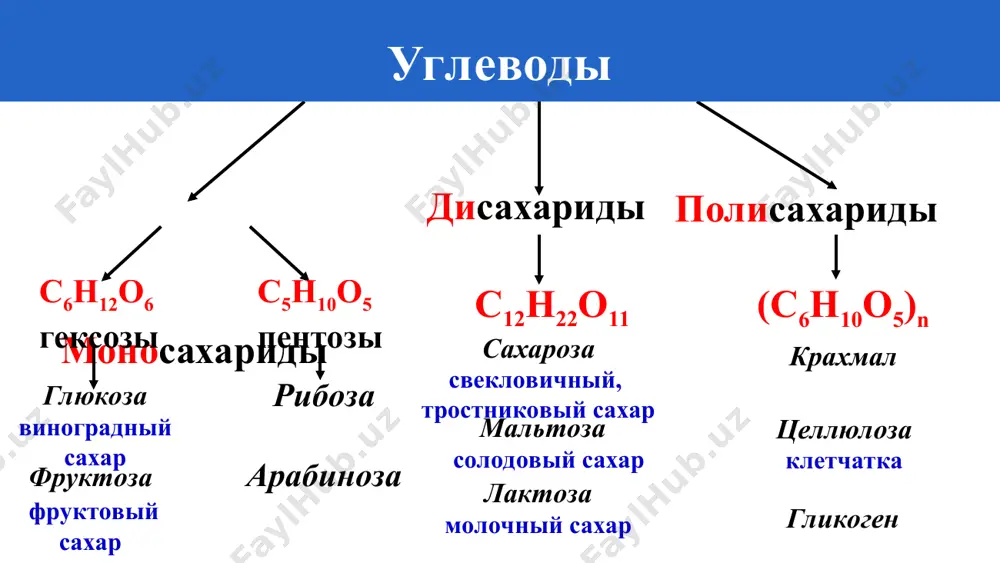 дисахариды. полисахариды - Page 5