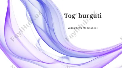 togʻ burguti — PPTX
