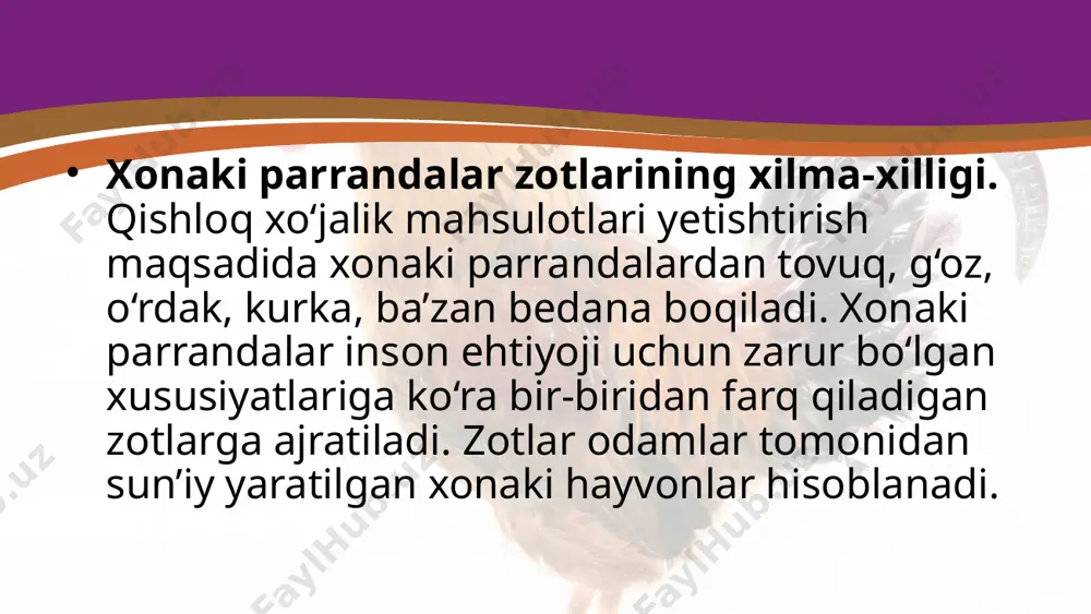 parrandachilikda nasilchilik ishlari - Page 3