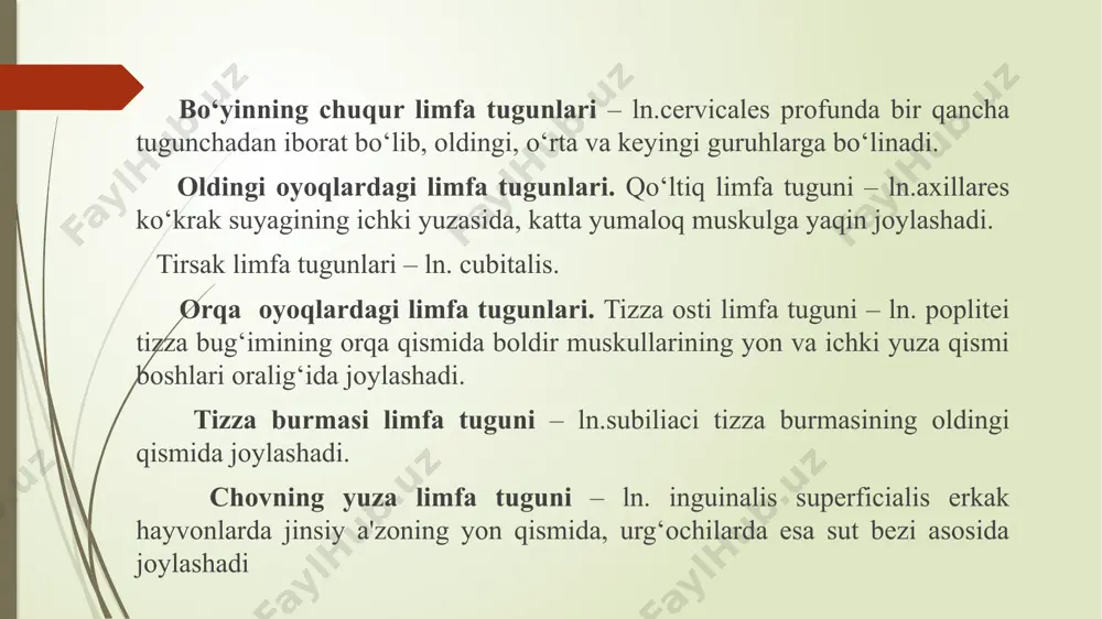 nalis media aorta va qizilo‘ngach oralig‘ida joylashadi. keyingi qism oraliq limfa tugunlari – ln.n.mediastinalis caudalis o‘pkaning orqa tomonida aorta va qizilo‘ngach orasida joylashadi. keyingi qism oraliq limfa tugunlari – ln.n.mediastinalis caudalis o‘pkaning orqa tomonida aorta va qizilo‘ngach orasida joylashadi. bronxlardagi limfa tugunlari – ln.n.bronchiales bir nechta mayda tugunchadan iborat bo‘lib, kekirdakning o‘pkaga bo‘lingan qismida joylashadi. o‘pka limfa tugunlari – ln.n.pulmonalis o‘pka bronxlarida bo‘ladi. qorin va tos devorlaridagi limfa tugunlari. bel limfa tugunlari – ln.n.lumbales aortici bir nechta mayda tugunchadan iborat bo‘lib, aorta va keyingi kovak vena atrofida joylashadi. yonboshning o‘rta qism limfa tugunlari – ln.n.iliaci medialis yonboshning tashqi arteriyasi boshlanadigan qismda joylashadi. yonboshning yon tomon limfa tugunlari – ln.n.iliaci lateralis yonbosh suyagiga yaqin joylashadi. yonboshning tashqi limfa tugunlari – ln.n.iliaci externi qorin devorining ichki yuzasida joylashadi. tos limfa tugunlari – ln.n.hypogasterici yonboshning ichki arteriyalari oralig‘ida joylashadi. dumg‘aza limfa tugunlari – ln.n.sacralis tosning keng payi ustida joylashadi. quymich limfa tugunlari – …