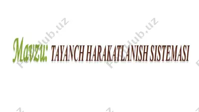 tayanch harakatlanish tizimi — PPTX