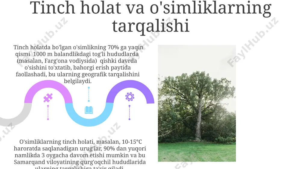 o'simliklardagi tinim holati - Page 5