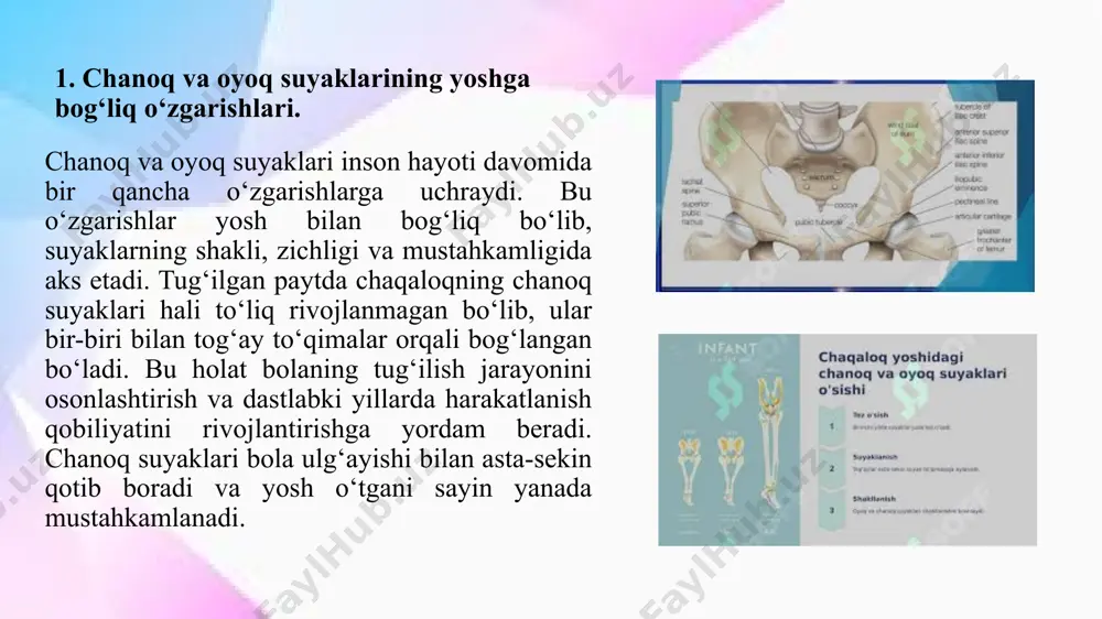 rt suyaklarning elastikligini saqlash va ularning mo‘rtlashuvining oldini olishga yordam beradi. yengil yugurish, velosiped haydash, suzish kabi faoliyat turlari oyoq va chanoq suyaklarini mustahkamlab, ularning normal funksiyasini qo‘llab-quvvatlaydi. ayniqsa, jismoniy faollik suyaklarning zichligini oshirishi bilan birga, bo‘g‘imlarning harakatchanligini ham yaxshilaydi. keksalik davrida sport suyaklarni mustahkamlash va suyak yo‘qotilishini sekinlashtirish uchun muhim hisoblanadi. yoshi katta insonlar uchun maxsus mashqlar, suzish va yurish suyaklardagi minerallar kamayishini oldini oladi. bundan tashqari, sport mashg‘ulotlari qon aylanishini yaxshilaydi, bu esa suyak hujayralarining oziqlanishini ta’minlaydi. shu tariqa, chanoq va oyoq suyaklarining mustahkamligi uzoq yillar davomida saqlanib qolishi mumkin. shu bilan birga, ortiqcha yuklama va noto‘g‘ri bajarilgan mashqlar suyaklarga zarar yetkazishi mumkin. sport bilan shug‘ullanayotganda to‘g‘ri texnikani qo‘llash va tanaga ortiqcha bosim tushirmaslik lozim. xususan, professional sportchilar uchun oyoq va chanoq suyaklariga ortiqcha yuk tushishi ba’zan jarohatlarga olib kelishi mumkin. shu sababli, sport mashg‘ulotlarini mutaxassislar nazorati ostida bajarish tavsiya etiladi. jismoniy faollikni muntazam saqlash, to‘g‘ri ovqatlanish va …