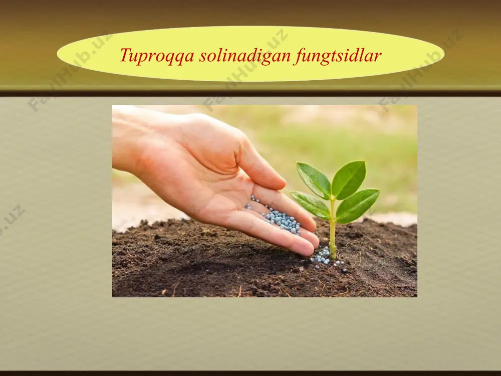 fungitsidlar urug’larni dоrilashda qo’llaniladigan preparatlar - Page 5