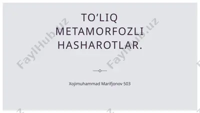 to'liq metamorfozli hasharotlar — PPTX