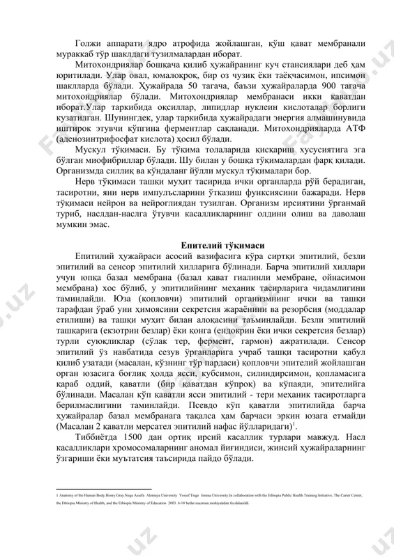 ли ҳужайра ичига ўтади. ситоплазма ярим суюқ муҳит бўлиб, электрон микроскопда қаралганда, унинг майда донадор структураси аниқ кўринади. ситоплазмада ядро ва ҳужайранинг барча органоидлари универсал ва махсус органоидларга бўлинади. универсал органоидлар барча организмлар ҳужайрасида бўлади. махсус органоидлар баъзи ҳужайралардагина учрайди. универсал органоидларга митохондриялар, голъжи аппарати, эндоплазматик тўр, рибосомалар, лизосомалар ва ҳужайра маркази киради. махсус органоидларга мускул ҳужайраларини қисқартирувчи миофибриллар, нерв ҳужайраларидаги нейрофибриллар ва ҳаракат органоидлари - хивчинлар, киприкчалар киради. ядро ҳужайранинг асосий қисми бўлиб, бўлиниш хусусиятига эга. ядронинг шакли кўпинча ҳужайра шаклига ўхшаб кетади. ядро ташқи ва ички мембрана орқали ситоплазмадан ажралиб туради. мембранада тешикчалар (поралар) бўлиб, оқсил молекулалари, аминокислоталар, нуклеотидлар ана шу тешикчалардан ўтади, натижада ситоплазма билан ядро ўртасида актив моддалар алмашинуви содир бўлиб туради. ядронинг ичи суюқлик (шира) билан тўлган бўлиб, бу ерда хромосомалар, ядрочалар (битта ёки кўп) жойлашган. ядро шираси таркибида оқсиллар, нуклеин кислоталар, углеводлар ва бошқа моддалар бўлади. лизосома юмалоқроқ шаклда бўлиб, мембранаси уч қаватдан тузилган. …