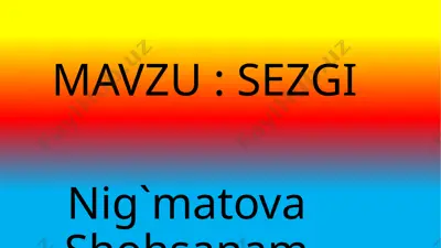 sezgi — PPTX