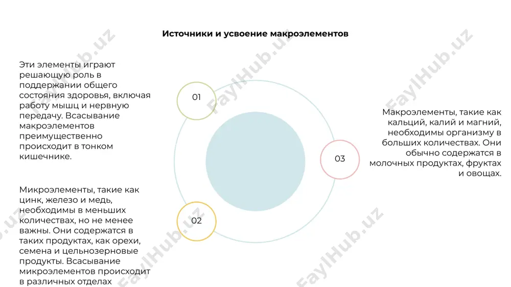 ешающую роль в механизмах антиоксидантной защиты организма. он работает путем нейтрализации вредных свободных радикалов и снижения окислительного стресса. 01 02 03 кроме того, селен необходим для правильного функционирования иммунной системы и щитовидной железы. он также помогает регулировать выработку гормонов щитовидной железы и поддерживает общее состояние здоровья и благополучия. в целом селен является важным микроэлементом, который поддерживает систему антиоксидантной защиты организма, способствует иммунной функции и способствует общему здоровью и жизненной силе. йод: функция щитовидной железы и обмен веществ venus is the second planet from the sun mercury is the closest planet to the sun jupiter is the biggest planet of them all 1 2 3 фтор: здоровье зубов и прочность костей фторид играет решающую роль в поддержании здоровья зубов, защищая зубы от кариеса и укрепляя эмаль. это также помогает предотвратить кариес и способствует общей гигиене полости рта. помимо преимуществ для зубов, фтор также способствует прочности костей, увеличивая плотность костей и снижая …
