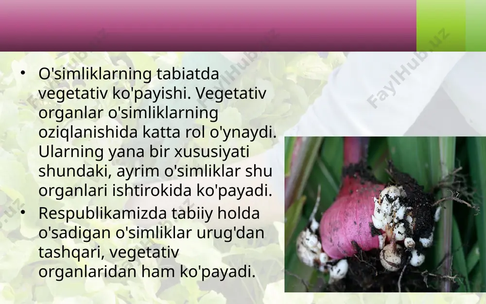 o‘simliklarning ko‘payishi. 6 - sinf - Page 5