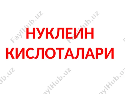 нуклеин кислоталари — PPT