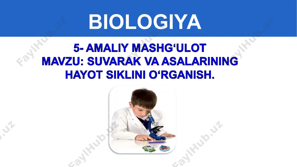 o‘simliklar mevasi va mazasi - Page 3